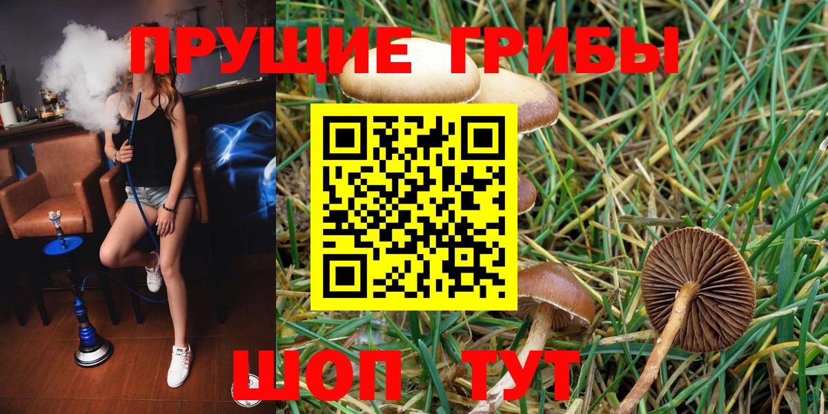 Галлюциногенные грибы Magic Shrooms Родники